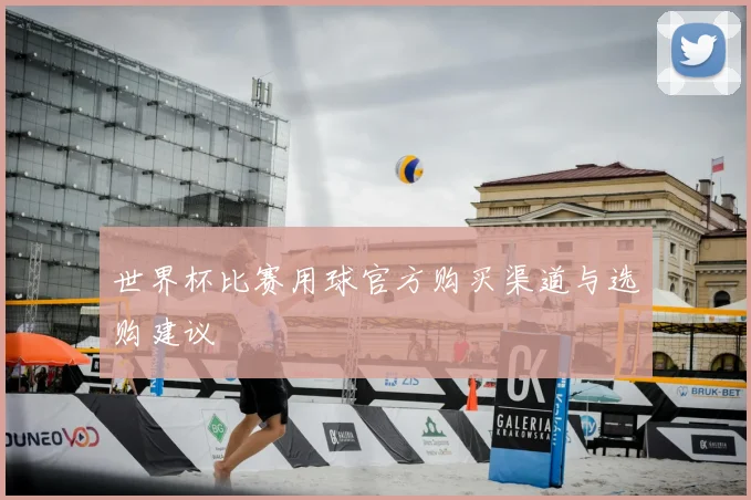 世界杯比赛用球官方购买渠道与选购建议