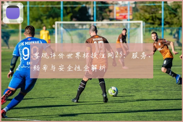 客观评价世界杯投注网25：服务、赔率与安全性全解析