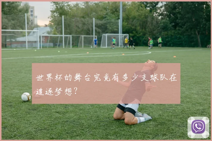 世界杯的舞台究竟有多少支球队在追逐梦想？