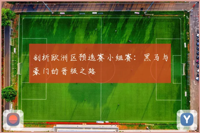 剖析欧洲区预选赛小组赛:黑马与豪门的晋级之路