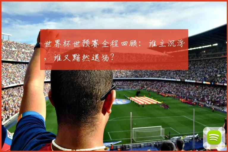 世界杯世预赛全程回顾:谁主沉浮,谁又黯然退场?