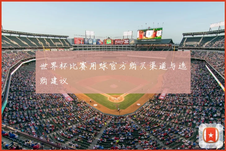 世界杯比赛用球官方购买渠道与选购建议