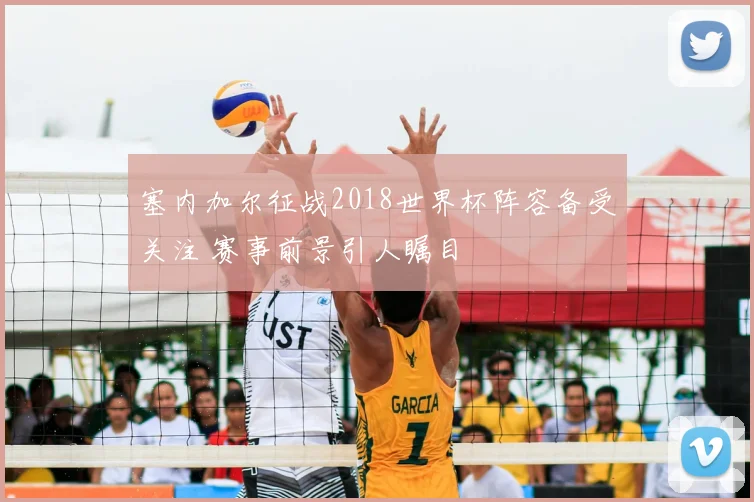 塞内加尔征战2018世界杯阵容备受关注 赛事前景引人瞩目