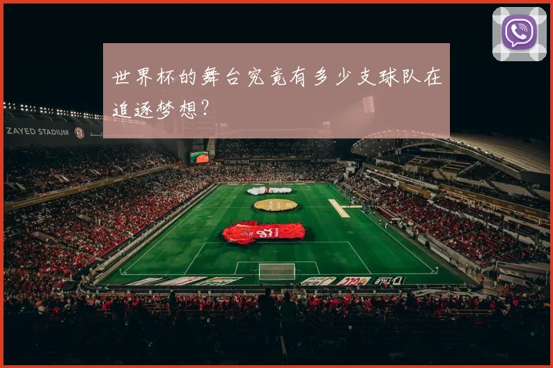 世界杯的舞台究竟有多少支球队在追逐梦想？